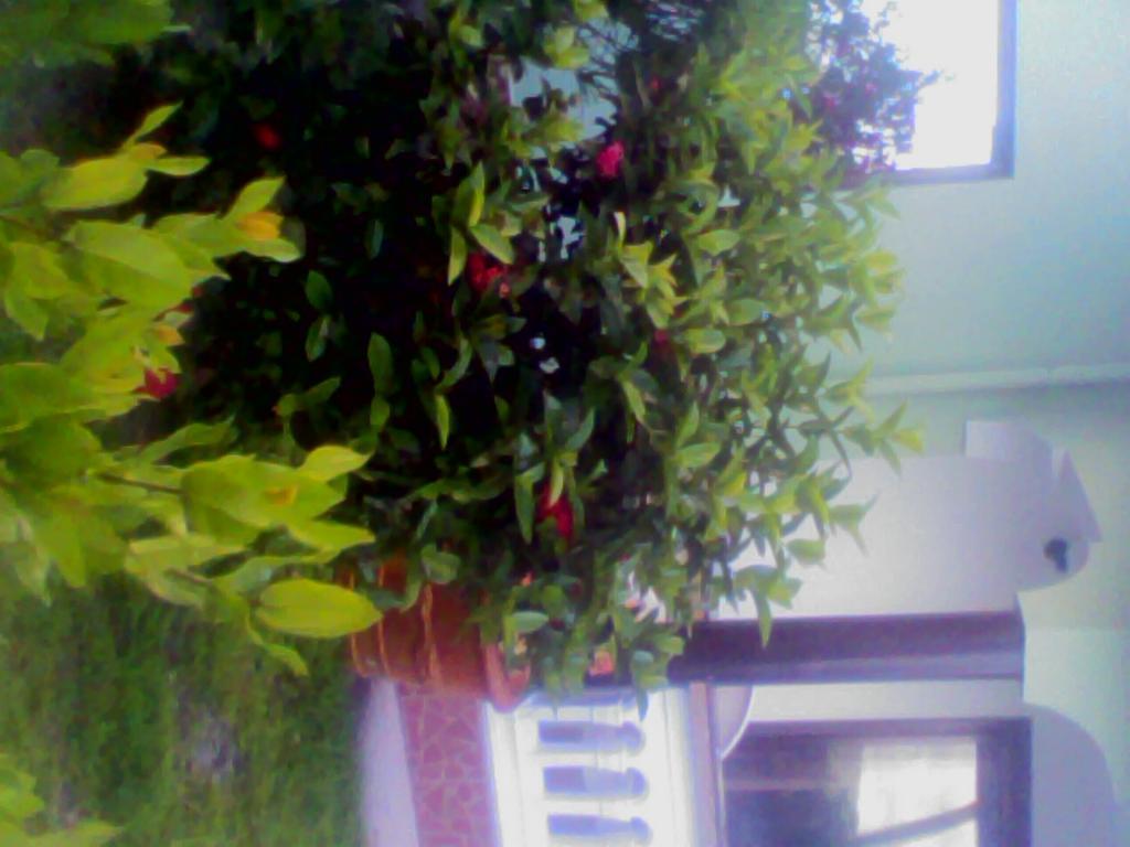 Maison Belle Baie Baie Sainte Anne Εξωτερικό φωτογραφία